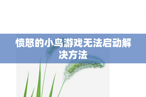 愤怒的小鸟游戏无法启动解决方法
