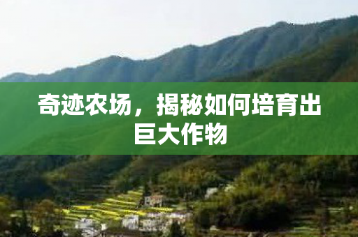 揭秘如何培育出巨大作物图片