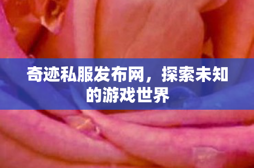 探索未知的游戏世界图片