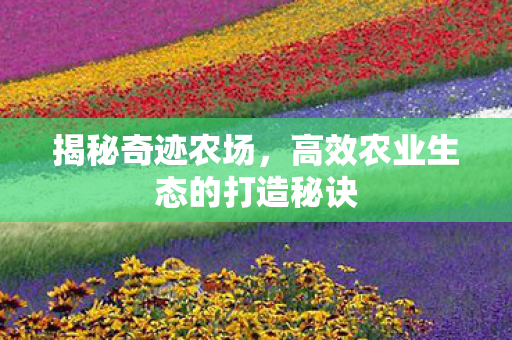 高效农业生态的打造秘诀图片