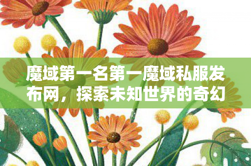 魔域第一名第一魔域私服发布网图片