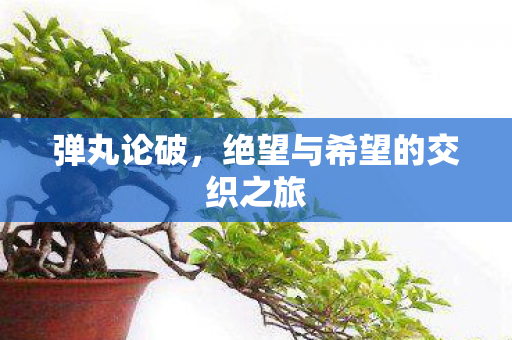 弹丸论破,绝望与希望的交织之旅 弹丸论破,绝望与希望的交织之旅