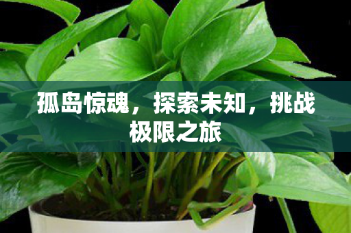 孤岛惊魂，探索未知，挑战极限之旅