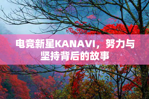 电竞新星KANAVI图片