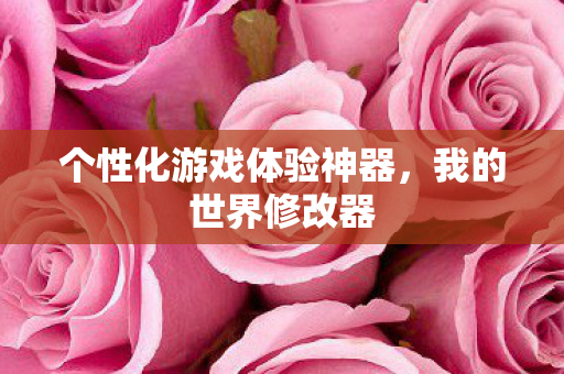 个性化游戏体验神器图片