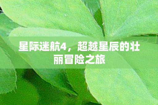 超越星辰的壮丽冒险之旅图片