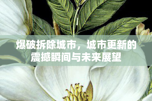 爆破拆除城市,城市更新的震撼瞬间与未来展望 爆破拆除城市,城市更新的震撼瞬间与未来展望