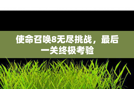 使命召唤8无尽挑战,最后一关终极考验 使命召唤8无尽挑战,最后一关终极考验