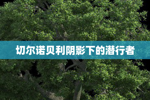 切尔诺贝利阴影下的潜行者图片