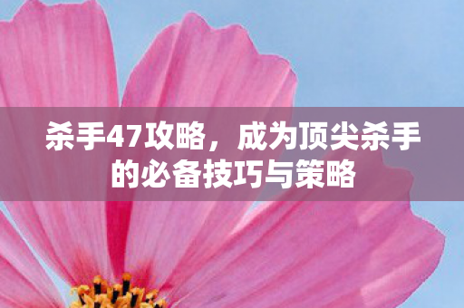 成为顶尖杀手的必备技巧与策略图片