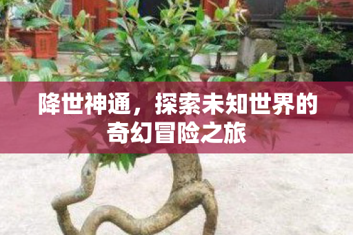 探索未知世界的奇幻冒险之旅图片