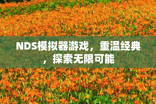 NDS模拟器游戏图片