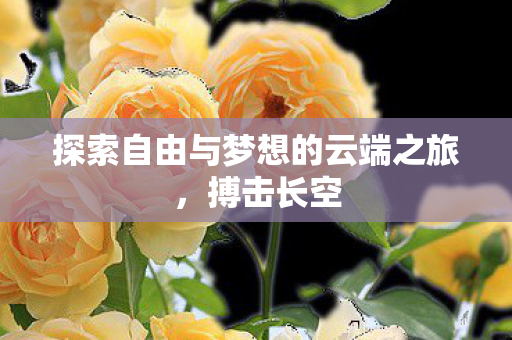 探索自由与梦想的云端之旅图片