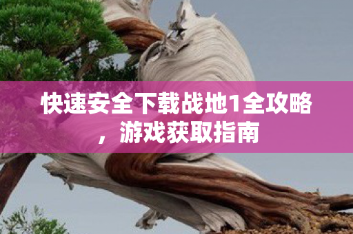 快速安全下载战地1全攻略图片