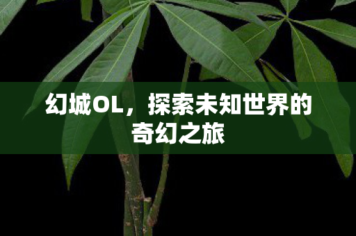 幻城OL,探索未知世界的奇幻之旅 幻城OL,探索未知世界的奇幻之旅