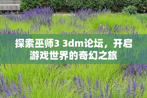 探索巫师3 3dm论坛图片