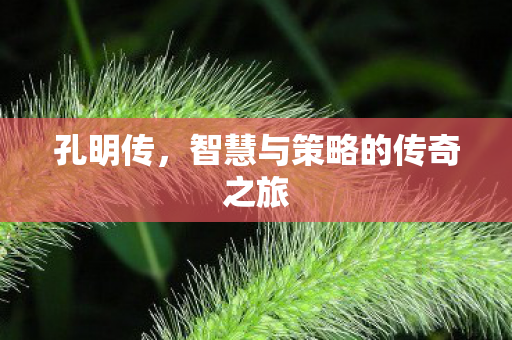 智慧与策略的传奇之旅图片