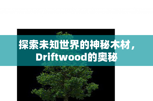 Driftwood的奥秘图片