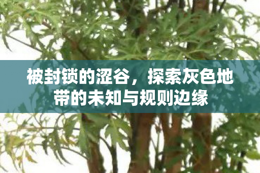 被封锁的涩谷,探索灰色地带的未知与规则边缘 被封锁的涩谷,探索灰色地带的未知与规则边缘