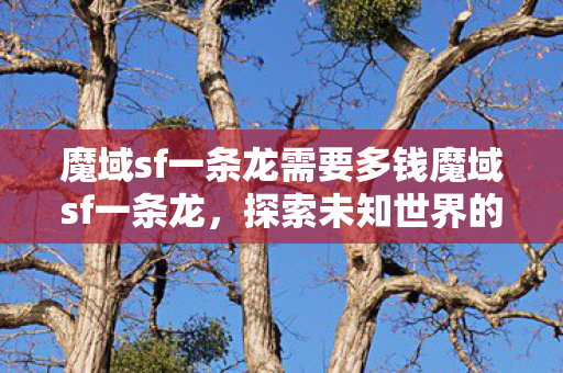魔域sf一条龙需要多钱魔域sf一条龙图片