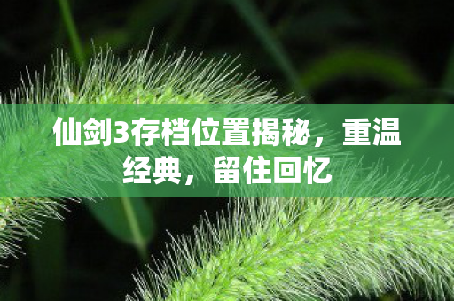 仙剑3存档位置揭秘,重温经典,留住回忆 仙剑3存档位置揭秘,重温经典,留住回忆