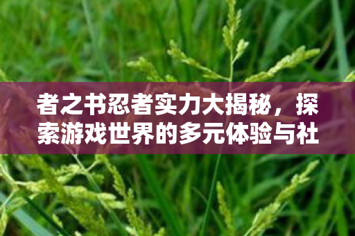 探索游戏世界的多元体验与社区互动图片