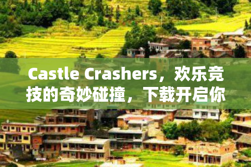 Castle Crashers图片