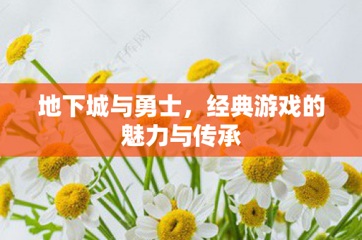 地下城与勇士，经典游戏的魅力与传承