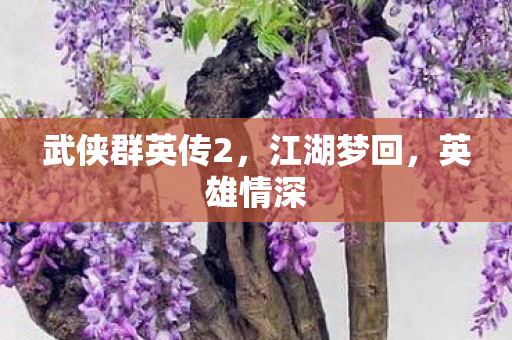 武侠群英传2,江湖梦回,英雄情深 武侠群英传2,江湖梦回,英雄情深
