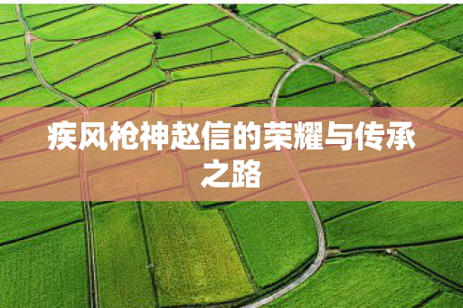 疾风枪神赵信的荣耀与传承之路 疾风枪神赵信的荣耀与传承之路