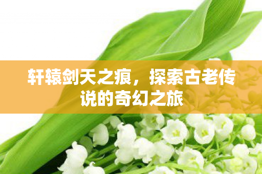 轩辕剑天之痕,探索古老传说的奇幻之旅 轩辕剑天之痕,探索古老传说的奇幻之旅