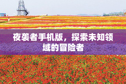 探索未知领域的冒险者图片