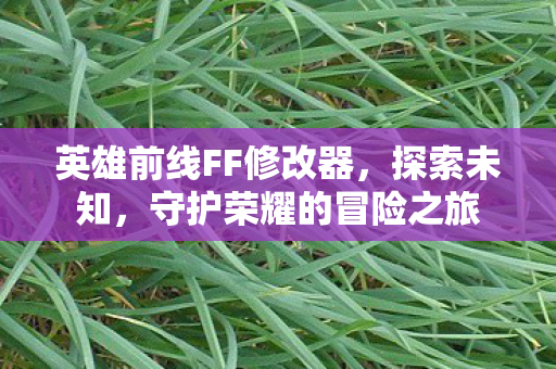 英雄前线FF修改器,探索未知,守护荣耀的冒险之旅 英雄前线FF修改器,探索未知,守护荣耀的冒险之旅