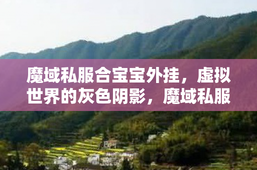 魔域私服合宝宝外挂图片
