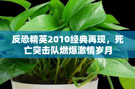 反恐精英2010经典再现,死亡突击队燃爆激情岁月 反恐精英2010经典再现,死亡突击队燃爆激情岁月