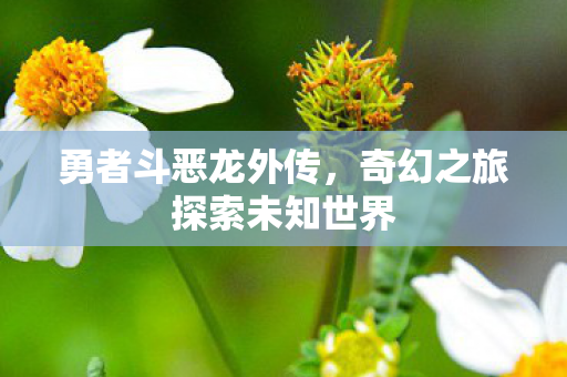 勇者斗恶龙外传,奇幻之旅探索未知世界 勇者斗恶龙外传,奇幻之旅探索未知世界