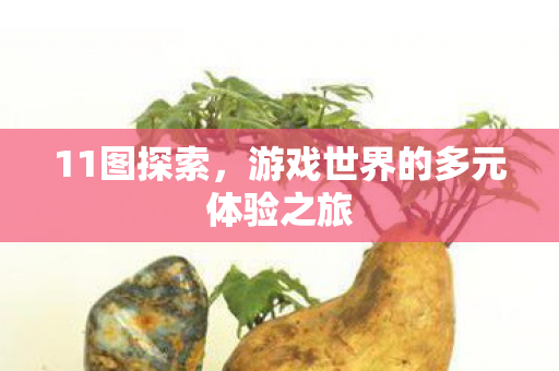 11图探索,游戏世界的多元体验之旅 11图探索,游戏世界的多元体验之旅