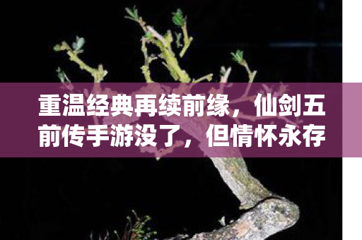 重温经典再续前缘，仙剑五前传手游没了，但情怀永存