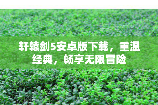 轩辕剑5安卓版下载，重温经典，畅享无限冒险