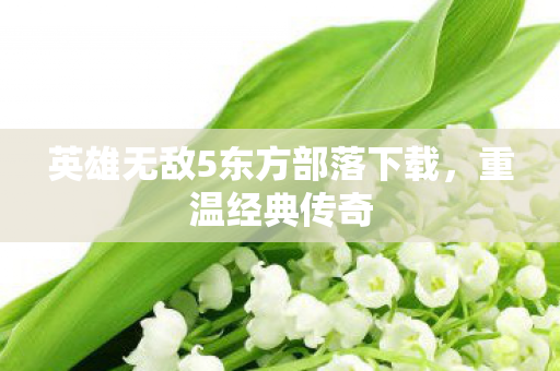 英雄无敌5东方部落下载图片