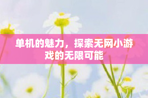探索无网小游戏的无限可能图片