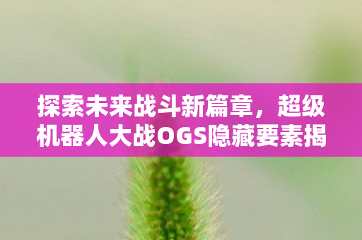 超级机器人大战OGS隐藏要素揭秘图片