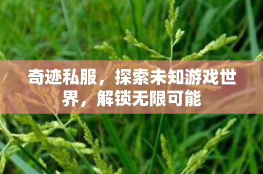 探索未知游戏世界图片