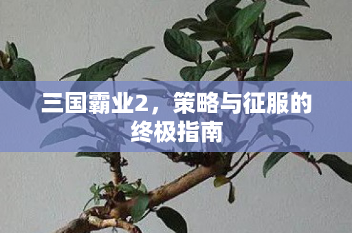 三国霸业2,策略与征服的终极指南 三国霸业2,策略与征服的终极指南