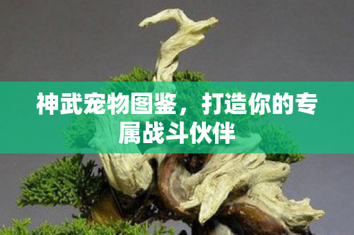 打造你的专属战斗伙伴图片