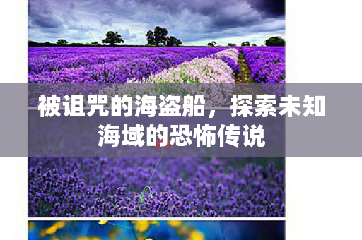 被诅咒的海盗船,探索未知海域的恐怖传说 被诅咒的海盗船,探索未知海域的恐怖传说