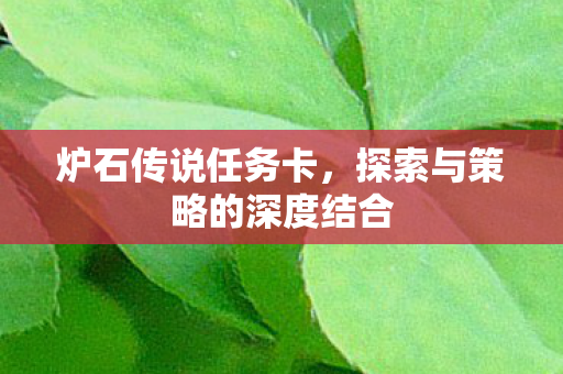 炉石传说任务卡,探索与策略的深度结合 炉石传说任务卡,探索与策略的深度结合