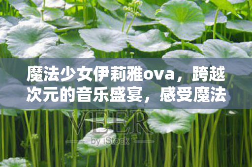 感受魔法与音乐的双重魅力图片