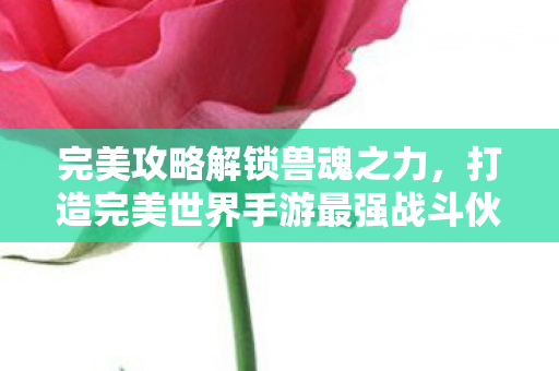 打造完美世界手游最强战斗伙伴图片