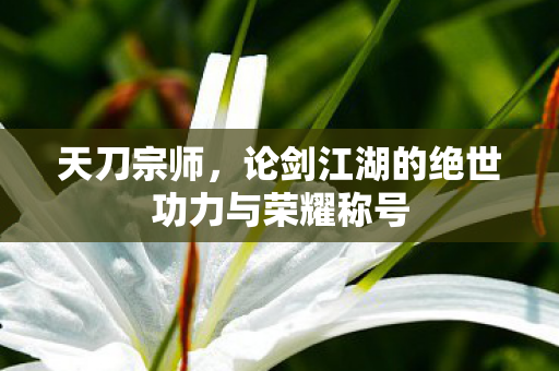 论剑江湖的绝世功力与荣耀称号图片